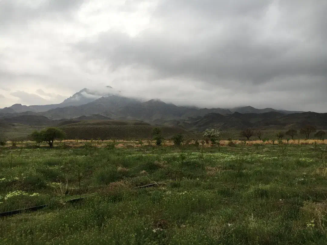 فروش ملک وزمین وساختمان|فروش دفتر صنعتی، کشاورزی، تجاری|سلفچگان, |دیوار