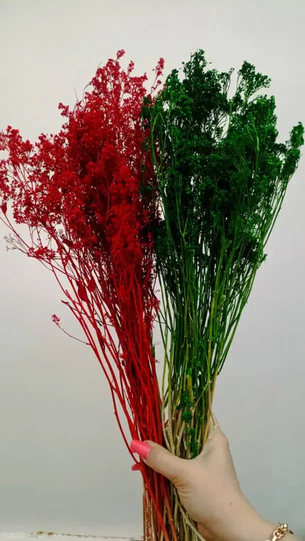 گل خشک|گل و گیاه طبیعی|تهران, شکیبا|دیوار