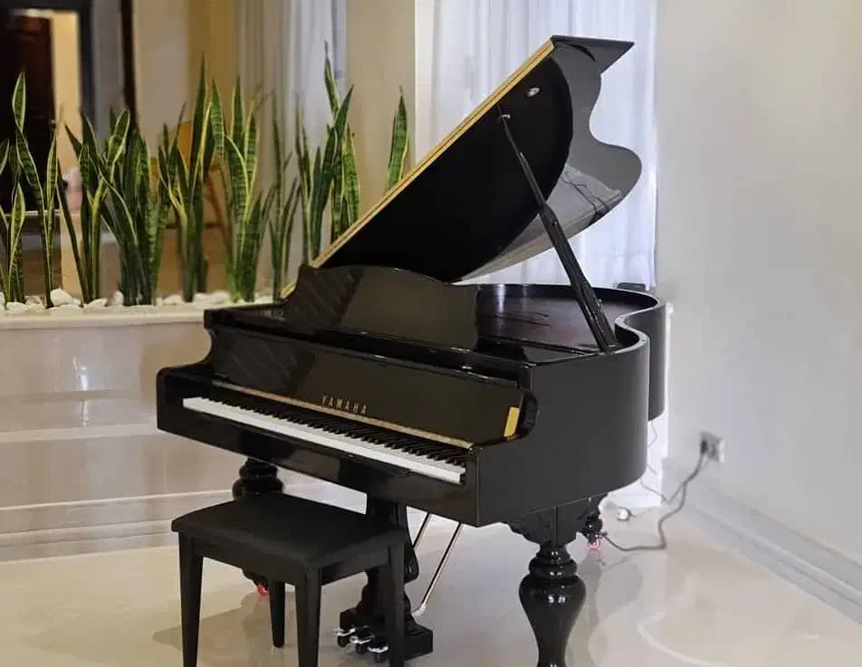 پیانو دیجیتال(گرند یاماها با گارانتی معتبر) کلاسیک|پیانو، کیبورد، آکاردئون|تهران, سعادتآباد|دیوار