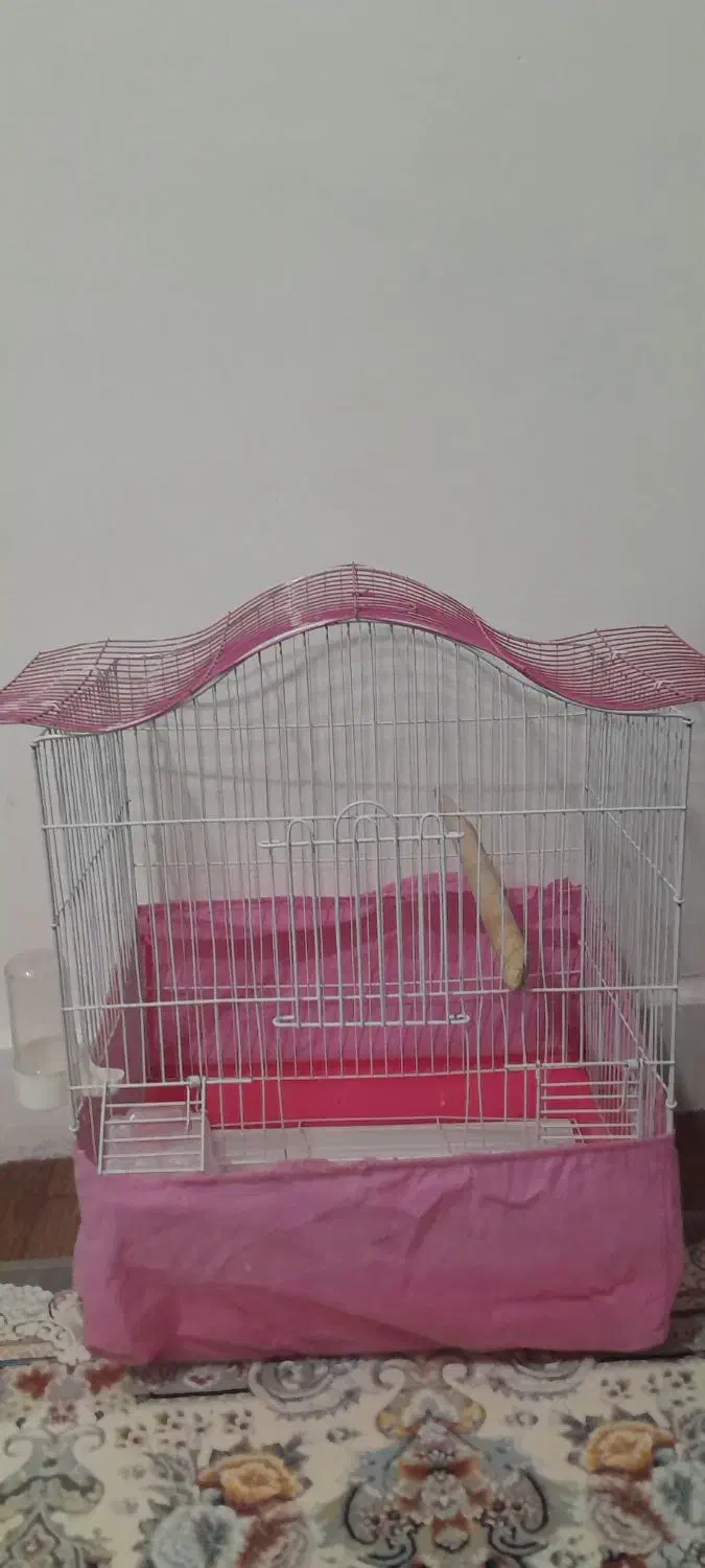 قفس پرنده صورتی|لوازم جانبی حیوانات|سنندج, |دیوار