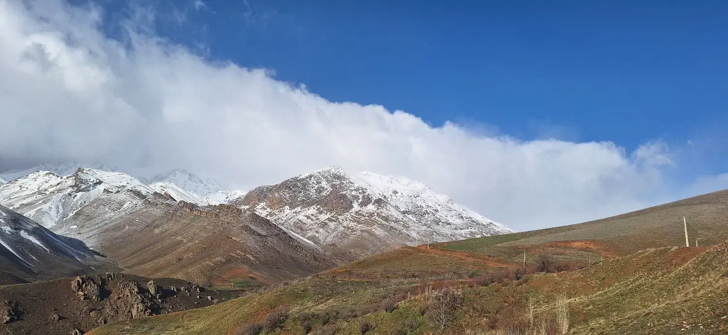 فروش زمینهای کشاورزی و باغ|فروش دفتر صنعتی، کشاورزی، تجاری|بروجرد, |دیوار