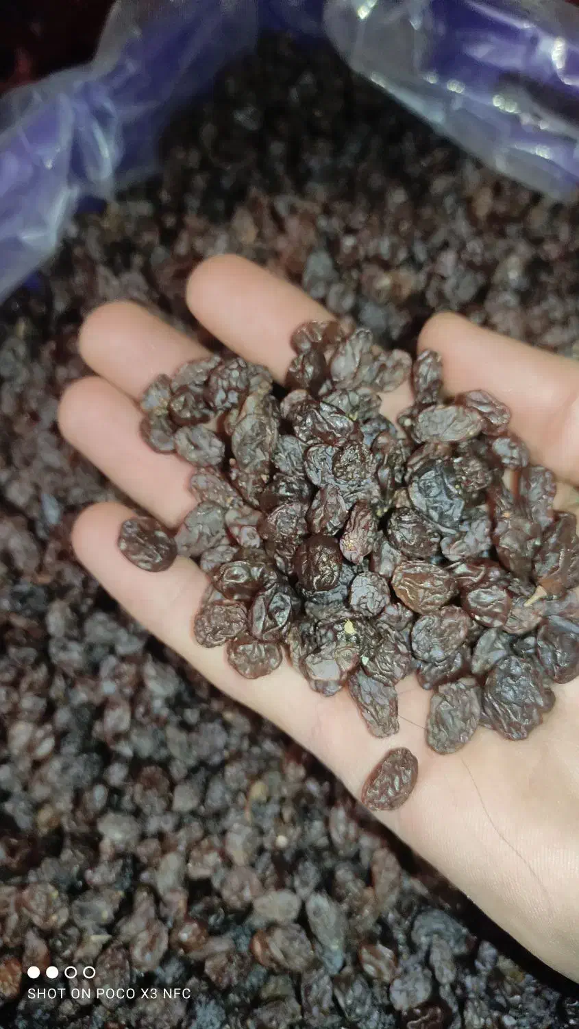 کشمش پاک شده اعلا|خوردنی و آشامیدنی|عجب شیر, |دیوار