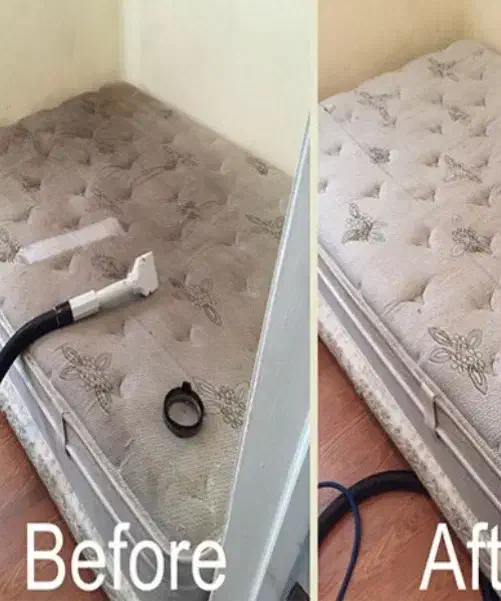 مبلشویی و قالیشویی اتوماتیک بجنوردزیبا(ضمانتی)|خدمات نظافت|بجنورد, |دیوار