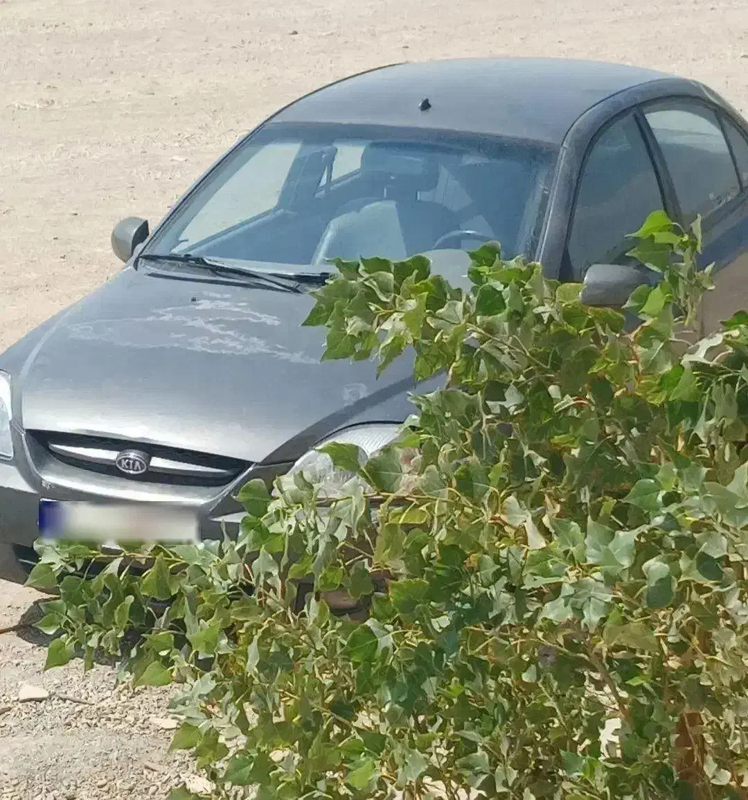 ریو 85|خودرو سواری و وانت|کرج, شهرک یاس جنوبی|دیوار