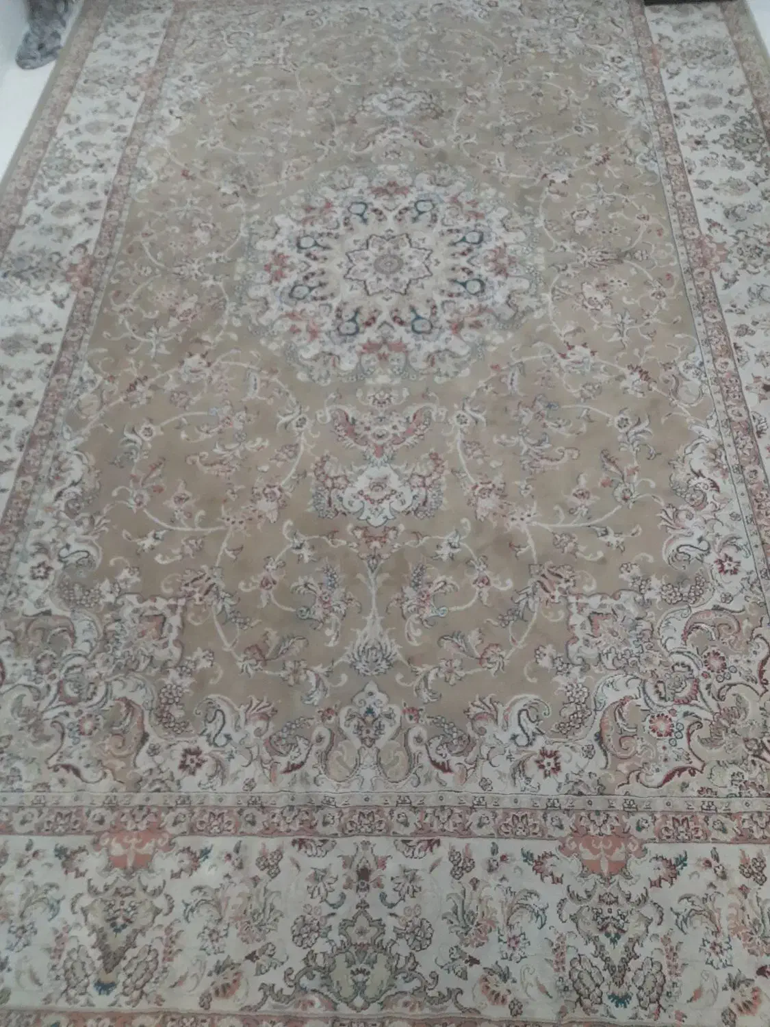 درحد فرش|فرش|تهران, شهرک ولیعصر جنوبی|دیوار