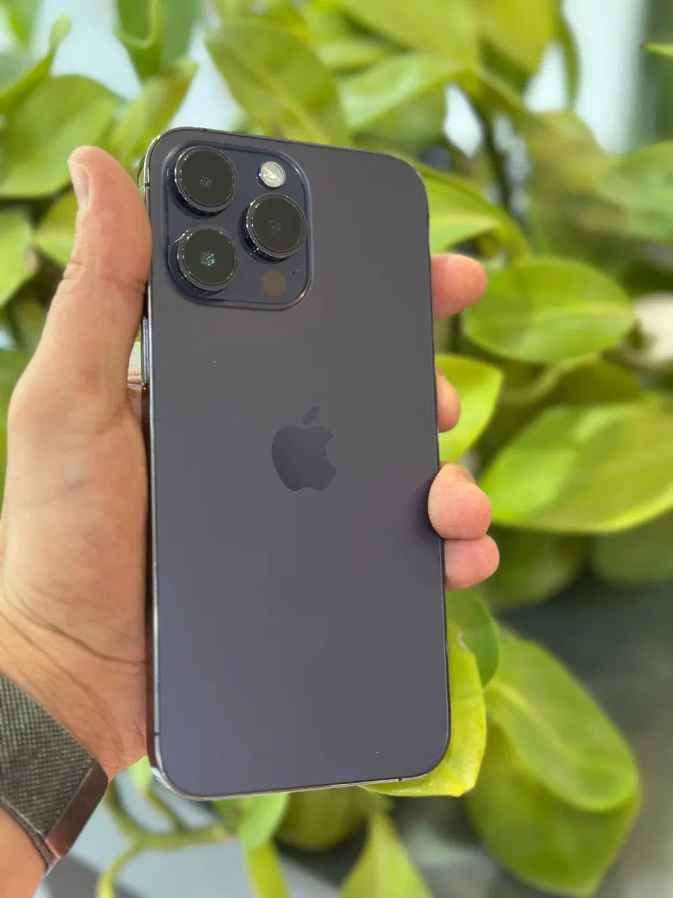 Iphone 14 Promax|موبایل|شیراز, عفیف‌آباد|دیوار
