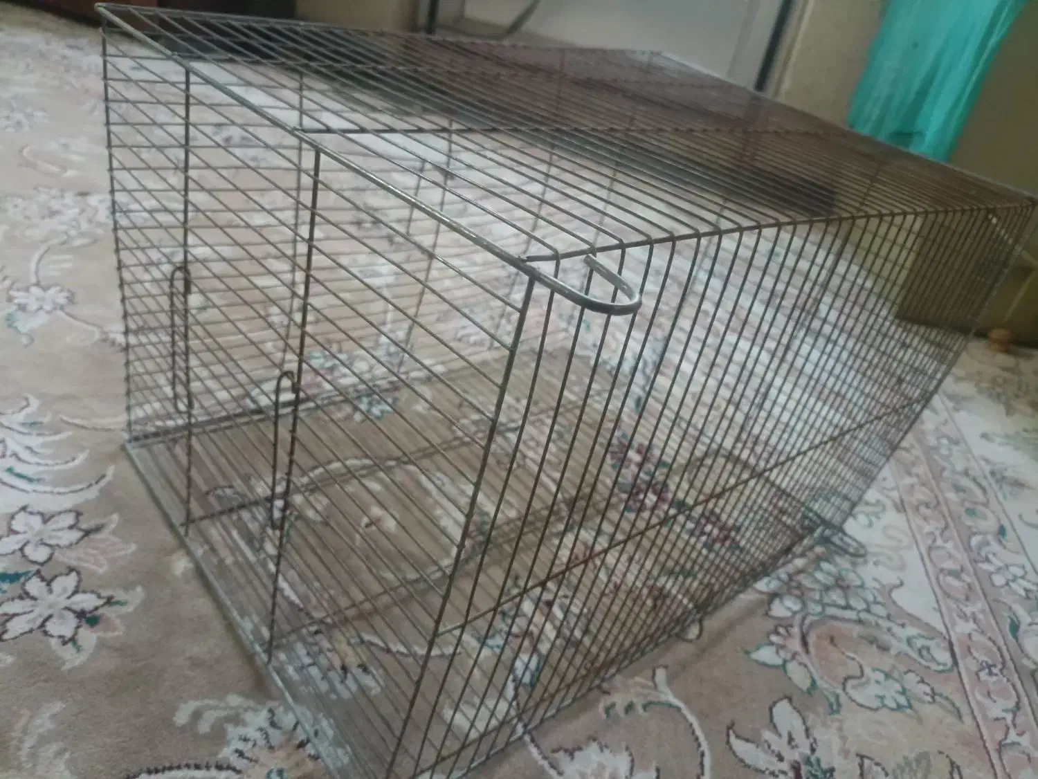 قفس پرنده|لوازم جانبی حیوانات|کرج, حصار|دیوار