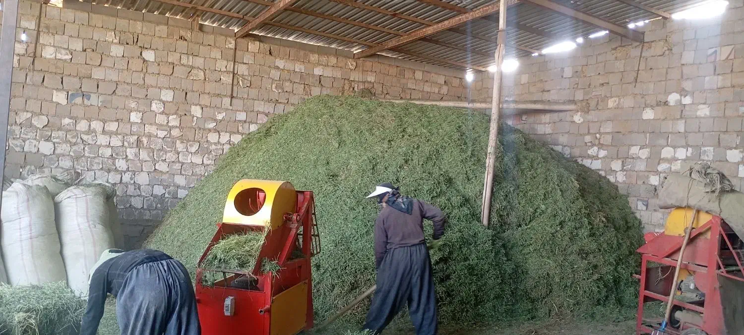 کاه و یونجه|عمده‌فروشی|رباط‌کریم, شهرک صنعتی زواره‌ای|دیوار