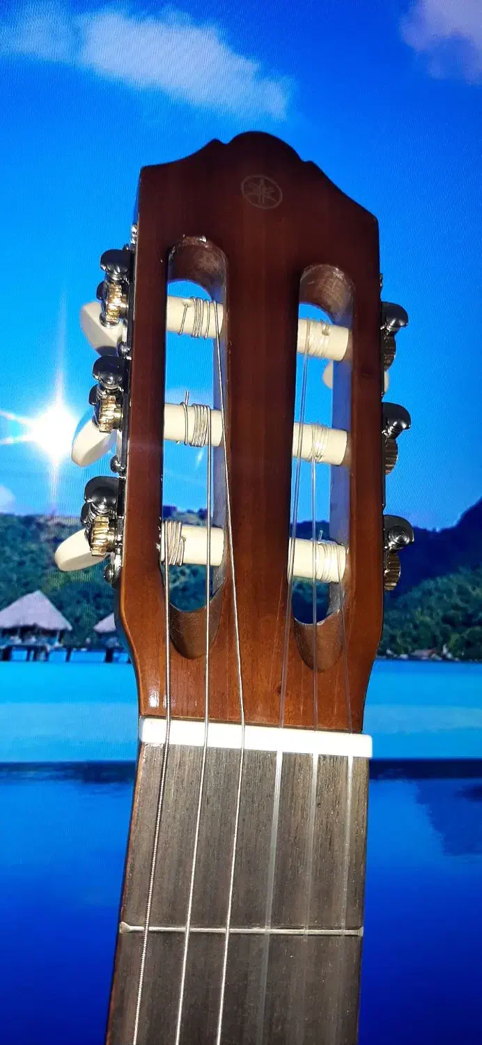 گیتار c 40 اندوزی اصل آک|گیتار، بیس، امپلیفایر|قم, پردیسان|دیوار