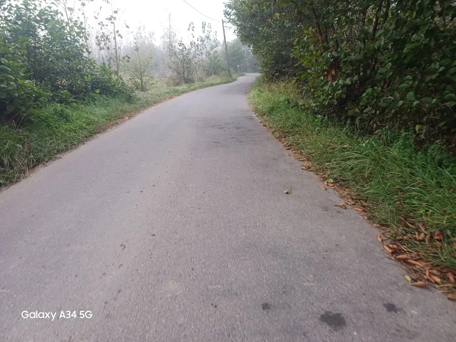 شالی سنتی سندتک برگ|فروش زمین و ملک کلنگی|رشت, استادسرا|دیوار