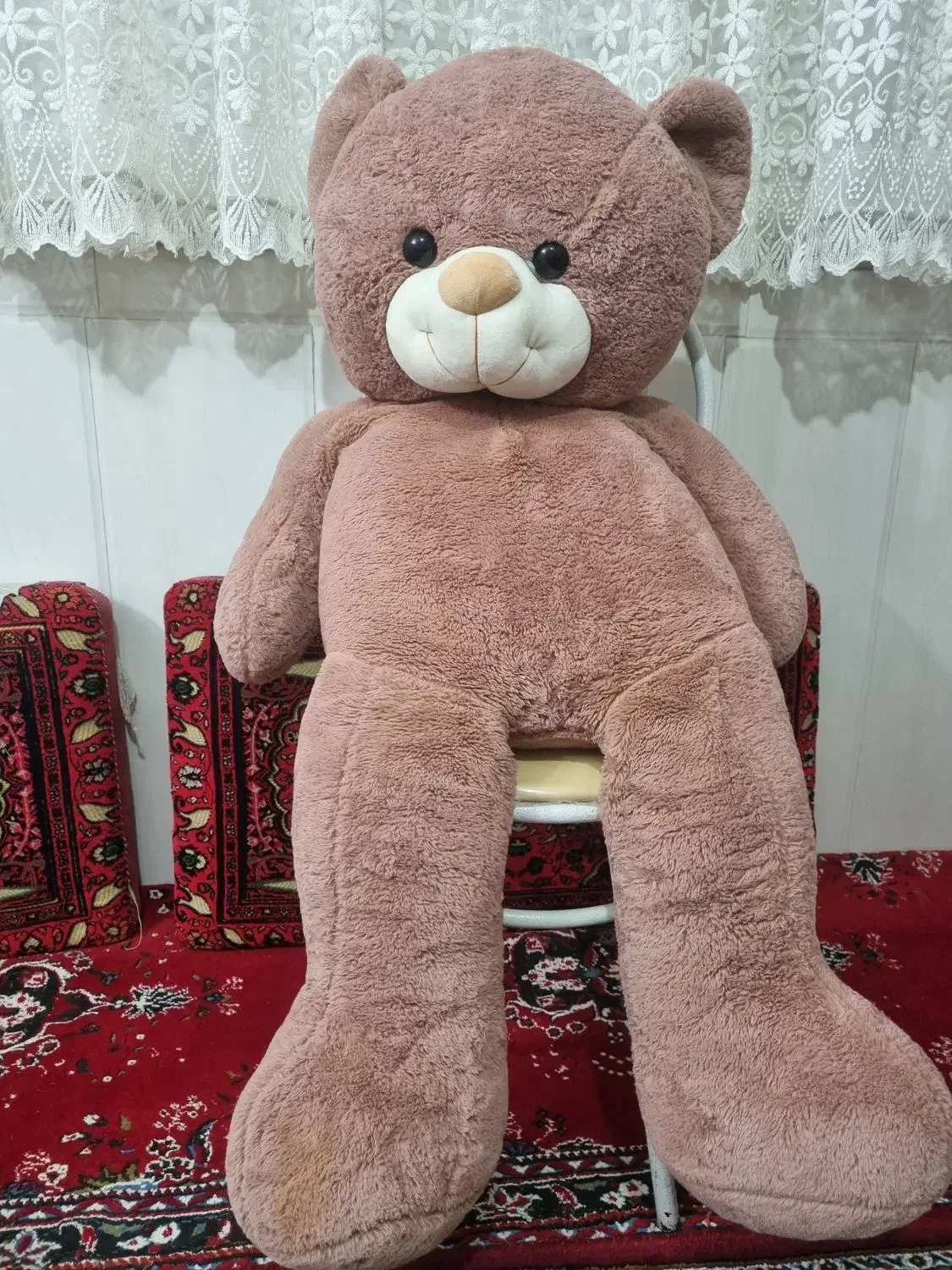 عروسک|اسباب‌بازی بچه|قم, شاه ابراهیم|دیوار