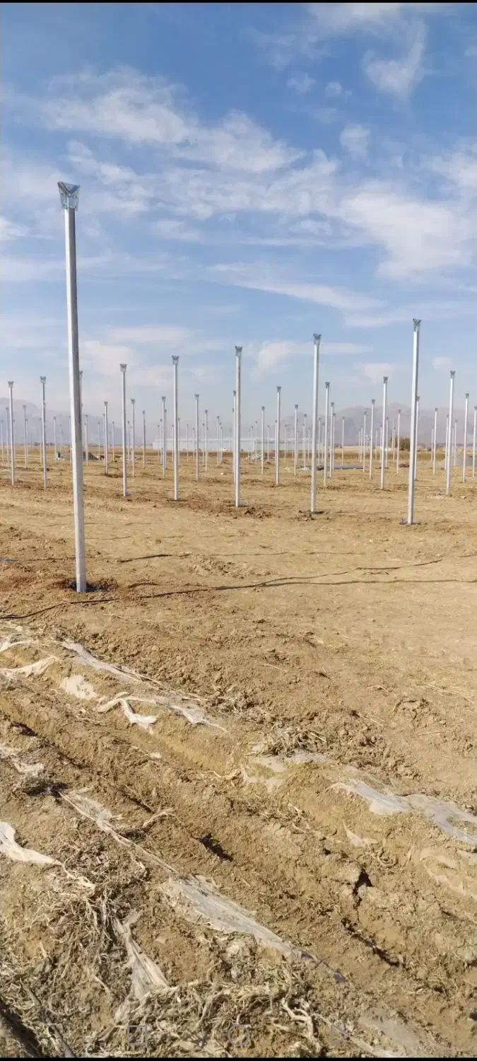 ساخت گلخانه|خدمات باغبانی و درختکاری|سیستان, |دیوار