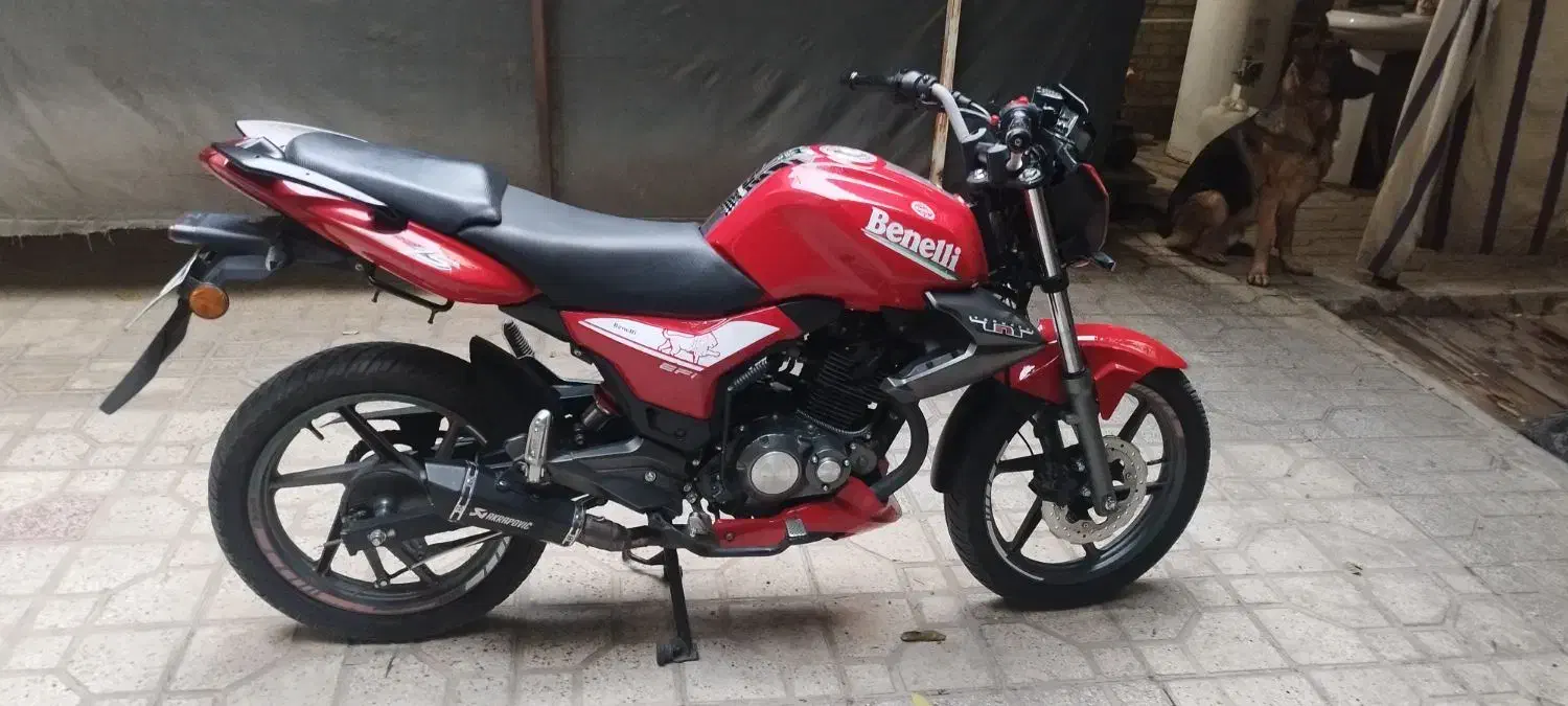 موتور بنلی|موتورسیکلت|شیراز, آبیاری|دیوار