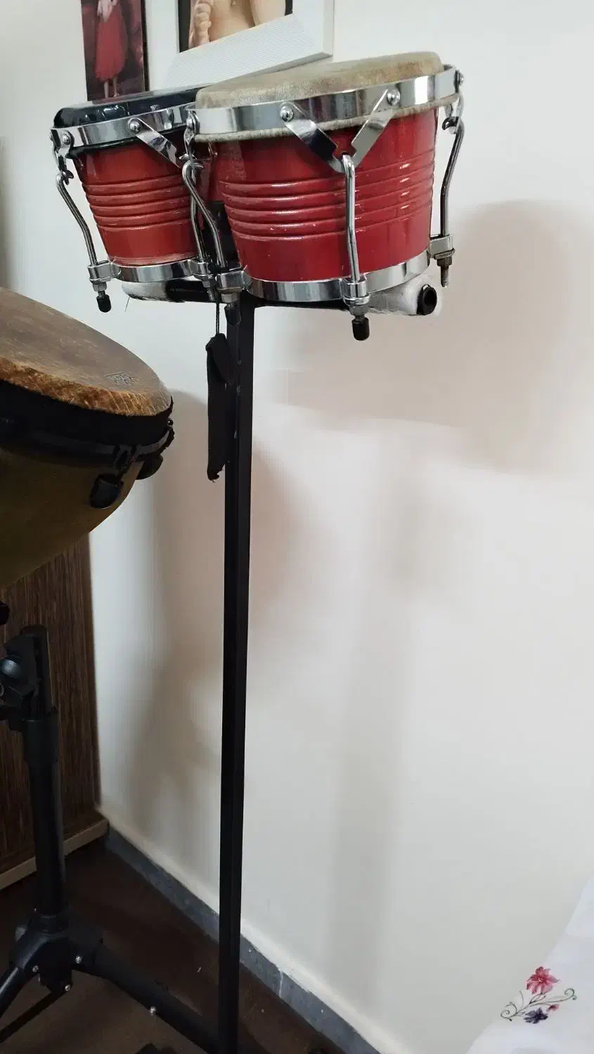 بینگو بانگو stagg|درام و پرکاشن|رشت, توشیبا|دیوار