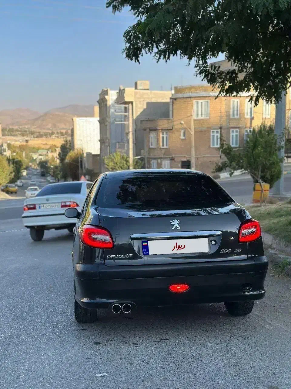 206 sd v8|خودرو سواری و وانت|سنندج, |دیوار