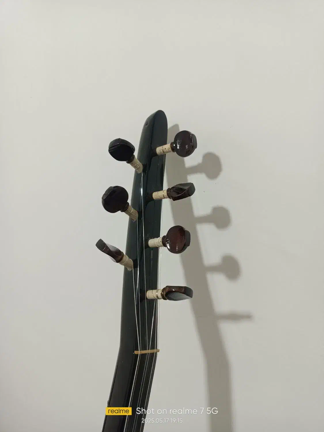 ساز دیوان حرفهای|سازهای سنتی|سنندج, |دیوار