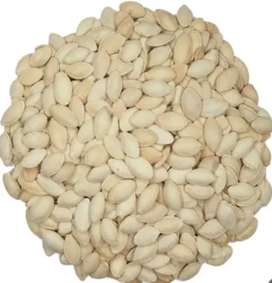 تخمه کدو وافتابگردان درجه یک|عمده‌فروشی|رشت, آب و برق|دیوار