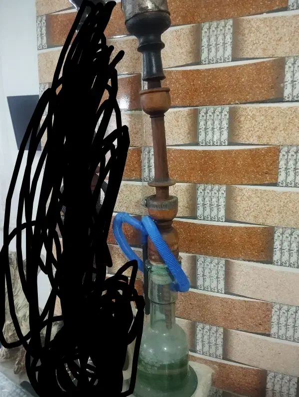 دوسیب سالم|کلکسیون و سرگرمی|آزادشهر, |دیوار