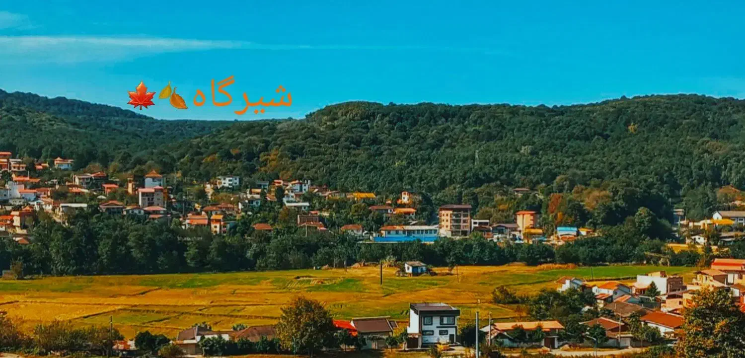 طبیعت سرسبز وجنگلی شیرگاه ویو عالی و دنج|اجارهٔ کوتاه‌مدت آپارتمان و سوئیت|شیرگاه, |دیوار