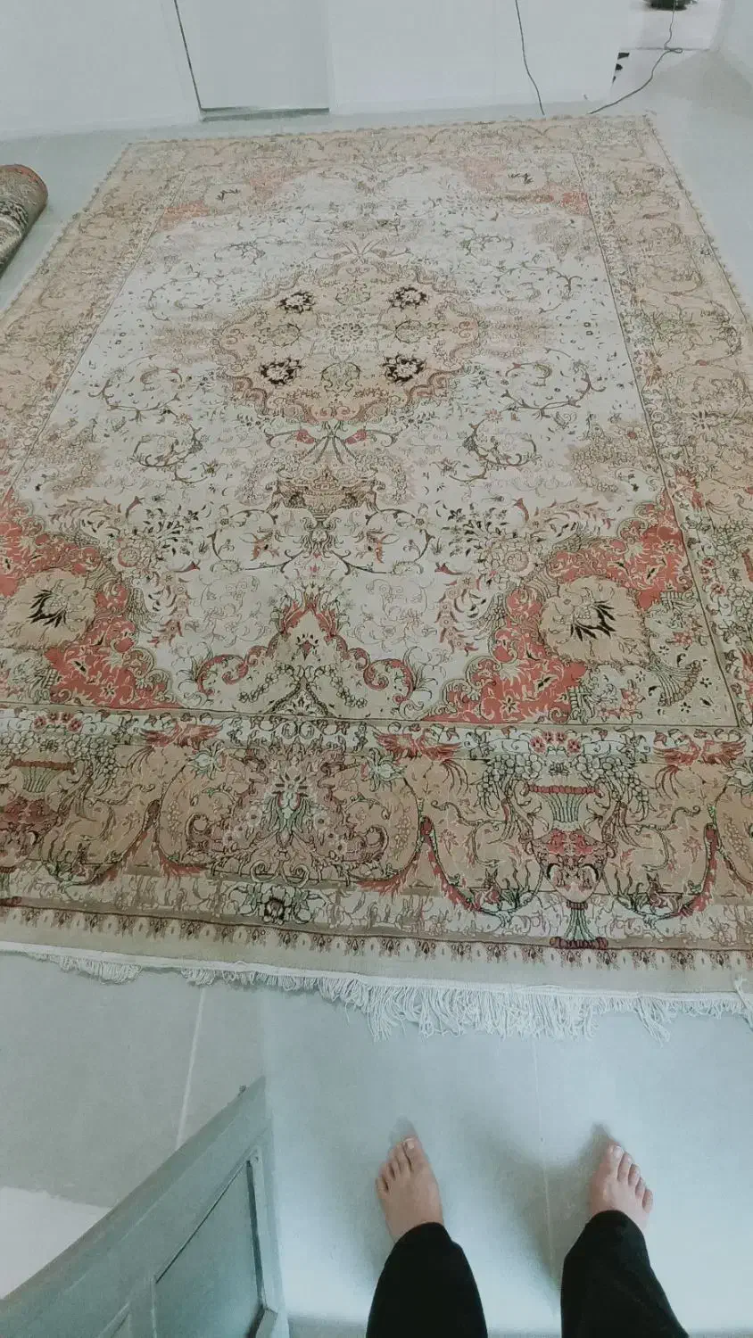 ۱۲ متری کرم|فرش|ساری, |دیوار