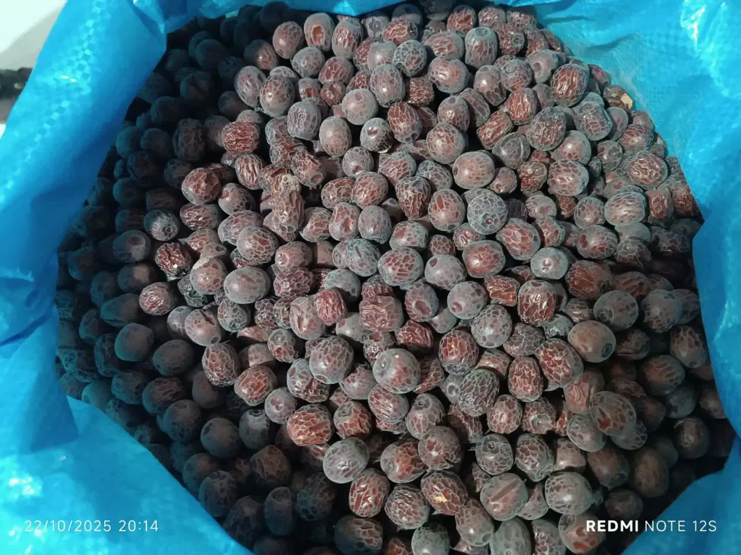 عناب و حبه|خوردنی و آشامیدنی|مشهد, ولیعصر (شهرک غرب)|دیوار