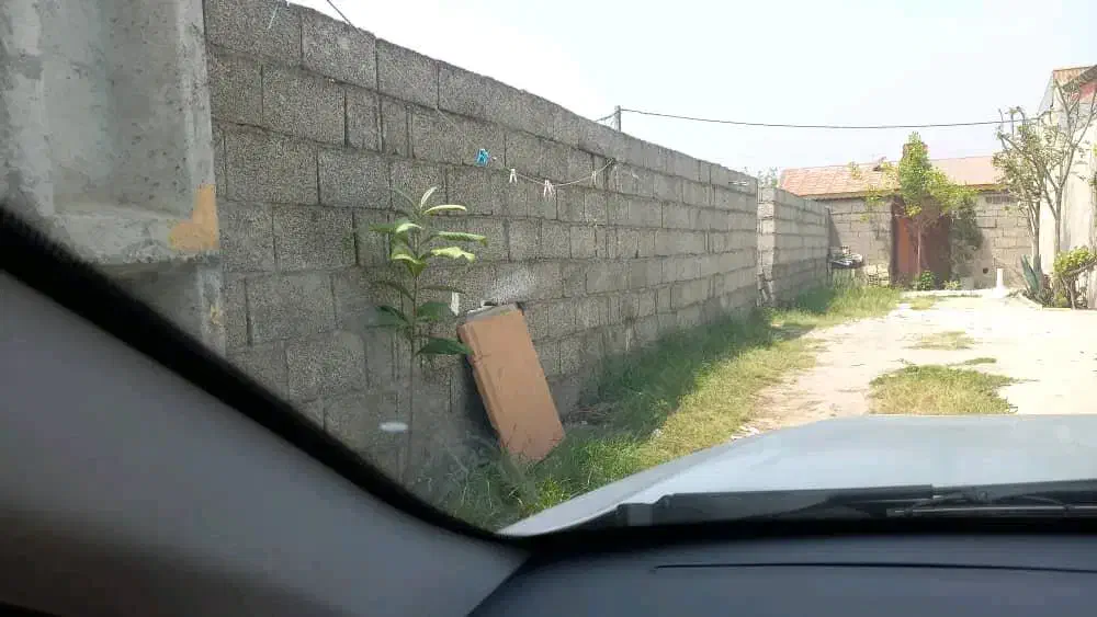 فروش زمین ۲۲۸ متری در پیربازار رشت(فخب)|فروش زمین و ملک کلنگی|رشت, فخب|دیوار