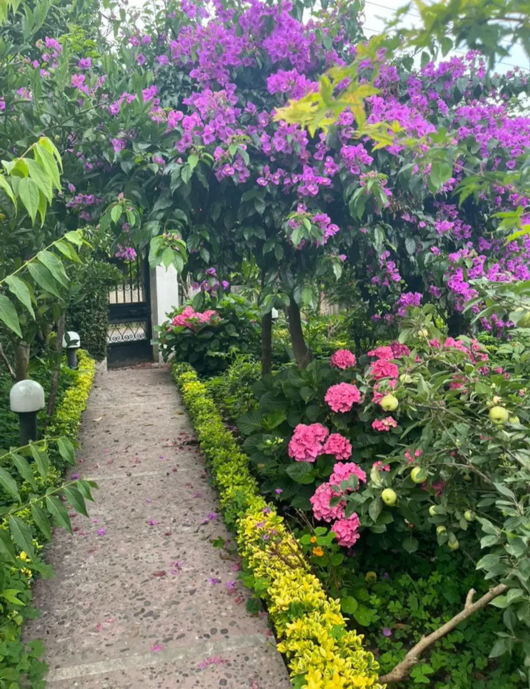 فروش ویلا 650 متل قو|فروش خانه و ویلا|سلمان‌شهر, |دیوار