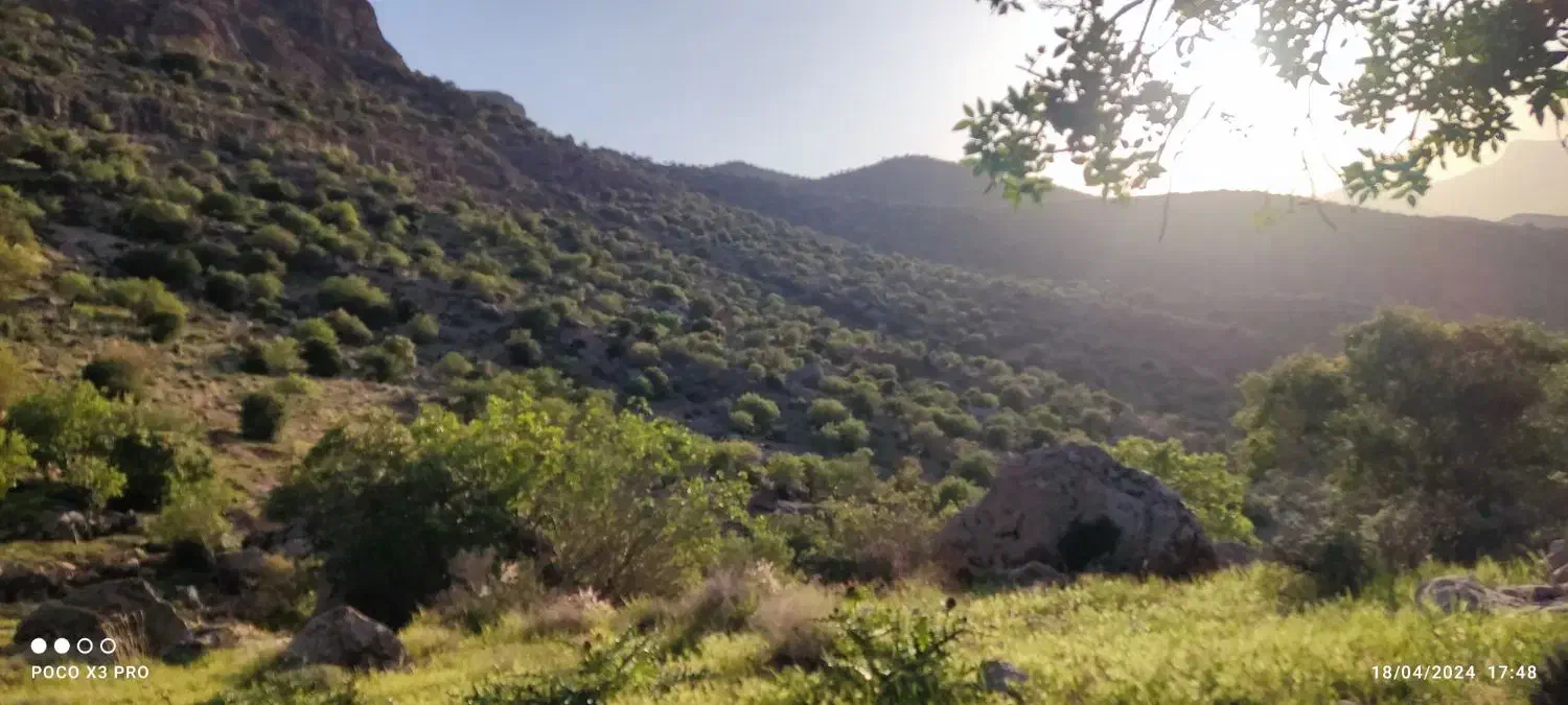 رهن و اجاره عمارت زیبایی|اجارهٔ مغازه و غرفه|مرودشت, ابوذر شمالی‎|دیوار