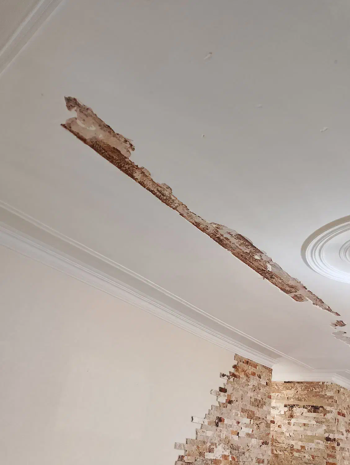 نقاشی رنگ کاری نقاش ساختمانی تهران و حومه|خدمات پیشه و مهارت|تهران, اتابک|دیوار