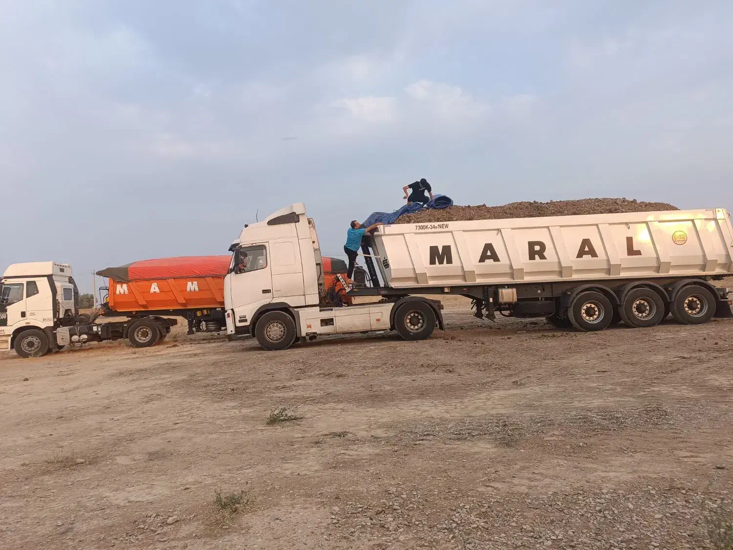 کودمرغی|خدمات باغبانی و درختکاری|حاجی آباد, |دیوار