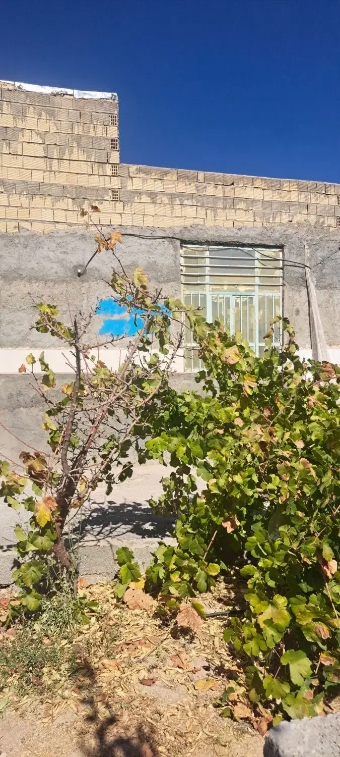 باغ ویلا|فروش خانه و ویلا|سامان, |دیوار