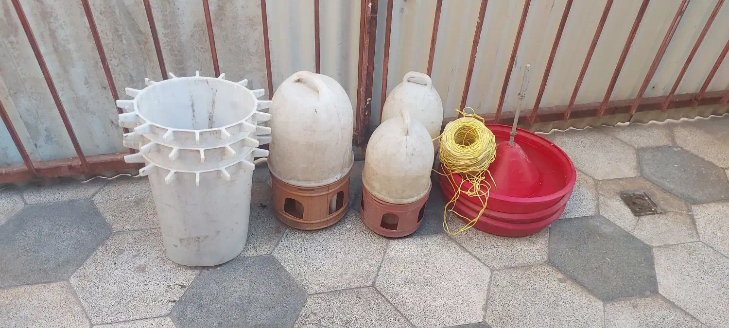 دان مرغ|ماهی|قم, شهرک فاطمیه|دیوار