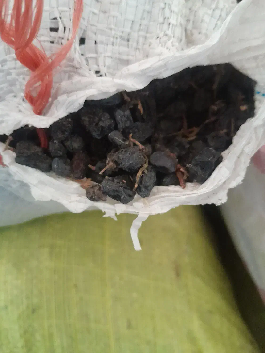 کشمش مویز بیدانه|خوردنی و آشامیدنی|تاکستان, |دیوار