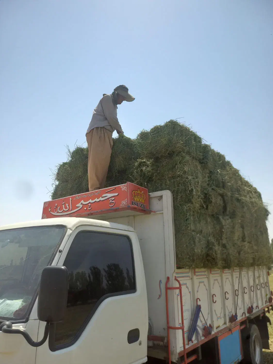 یونجه چین دو سه انباری|عمده‌فروشی|آوج, |دیوار