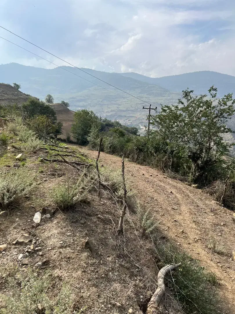 زمین تیلم دراسله بر اصلی جاده سرمایه گذاری|فروش زمین و ملک کلنگی|آلاشت, |دیوار