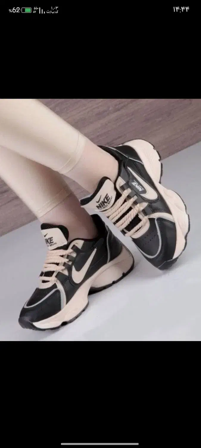 کفش|کیف، کفش، کمربند|یاسوج, |دیوار