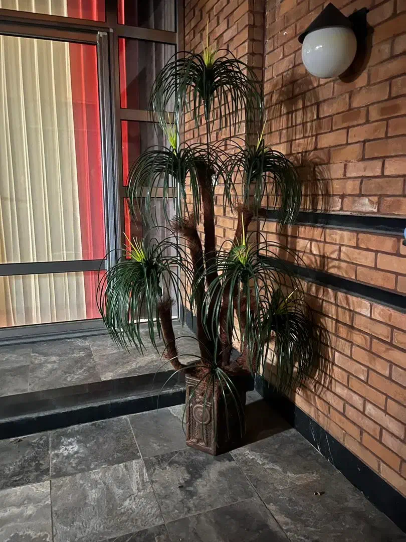 درختچه مصنوعی بزرگ و زیبا|گل مصنوعی|قم, صدوق|دیوار