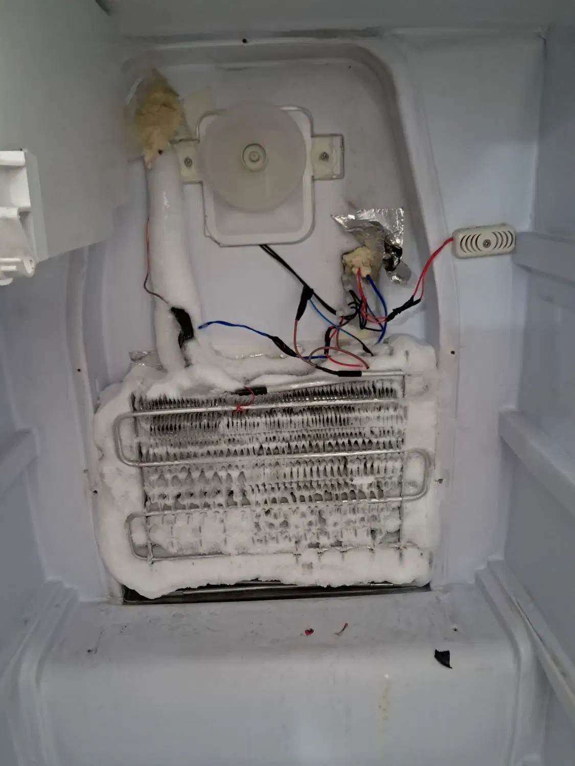 تعمیرات، نصب، سرویس، انواع کولر، یخچال و غیره|خدمات پیشه و مهارت|ایذه, |دیوار