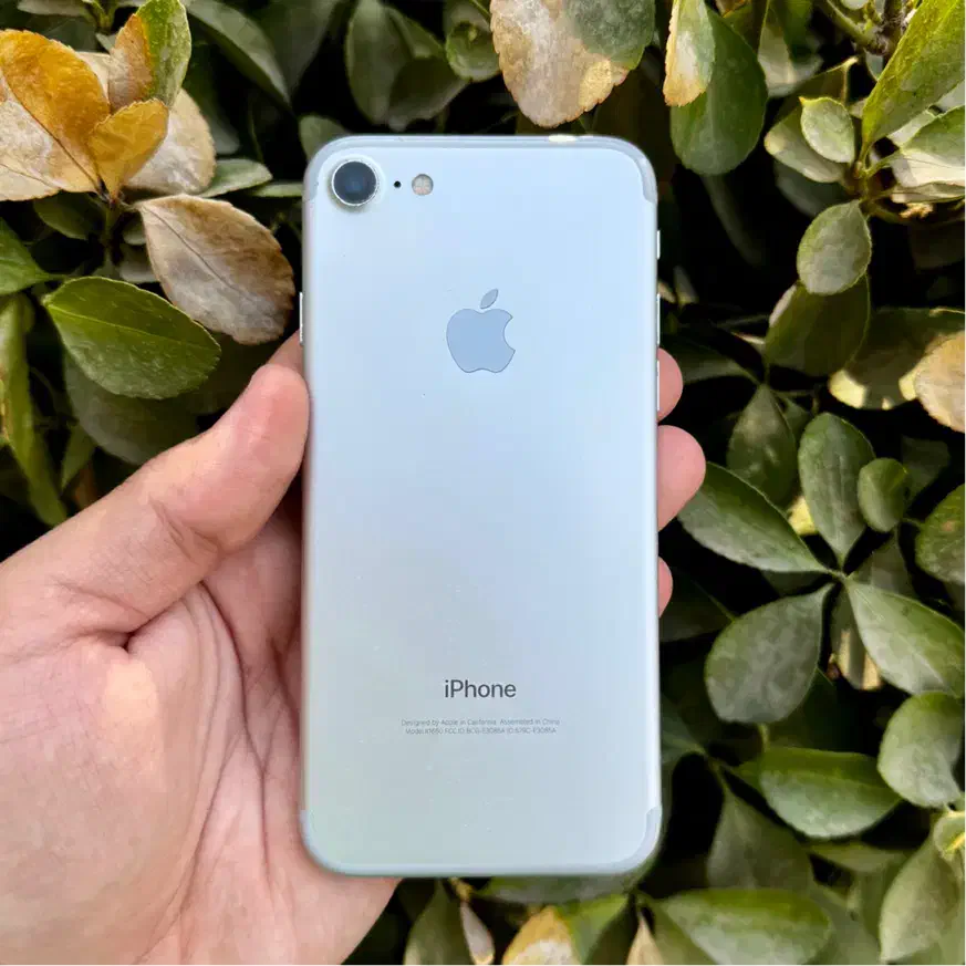 iPhone 7 ایفون|موبایل|تهران, ارم|دیوار