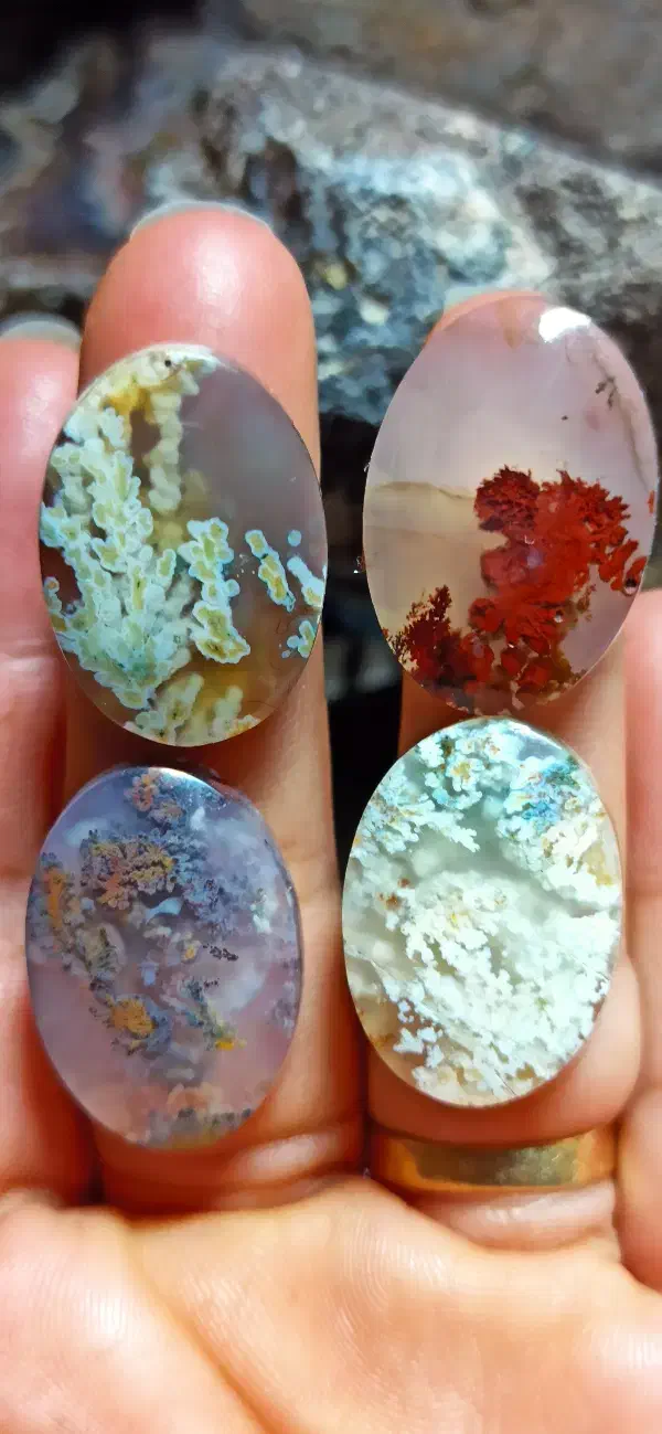 عقیق شجر|جواهرات|فردوس (خراسان), |دیوار