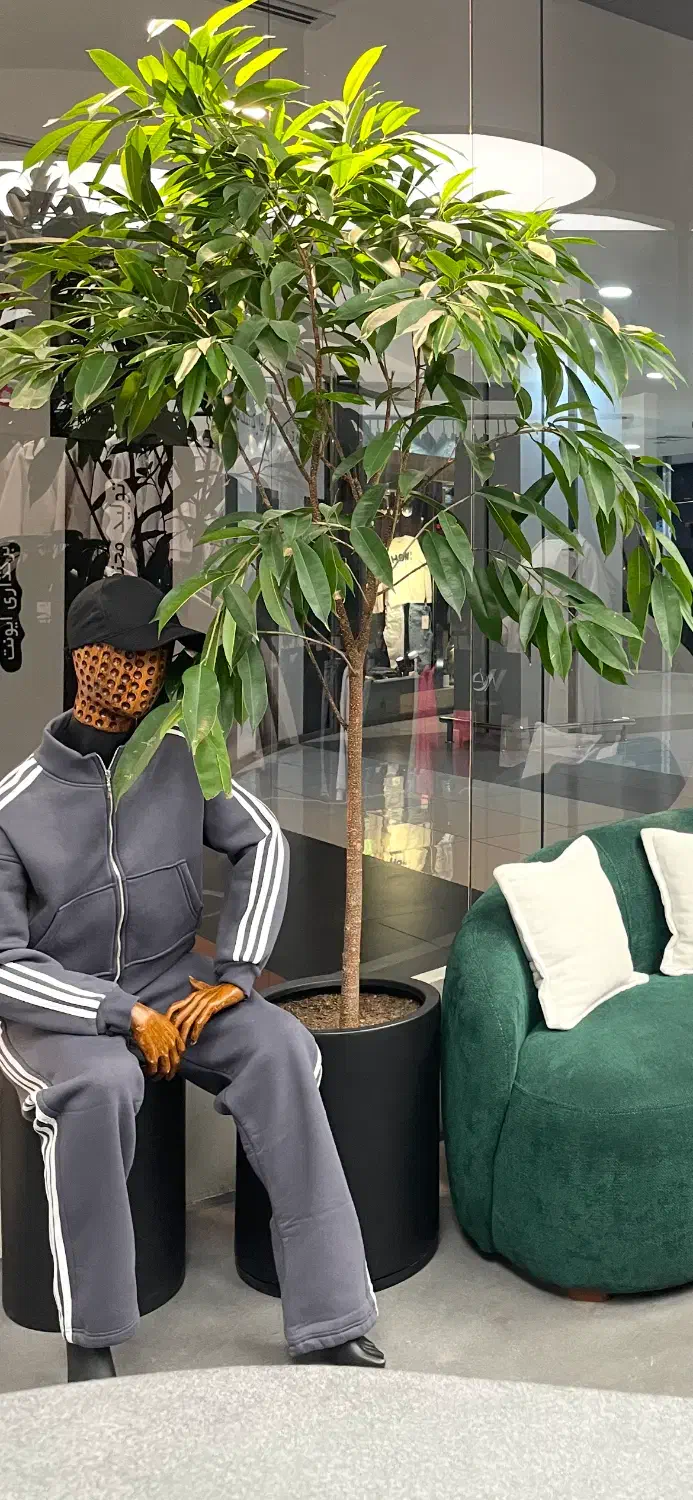 مانکن برند پاپتی|فروشگاه و مغازه|شیراز, عفیف‌آباد|دیوار