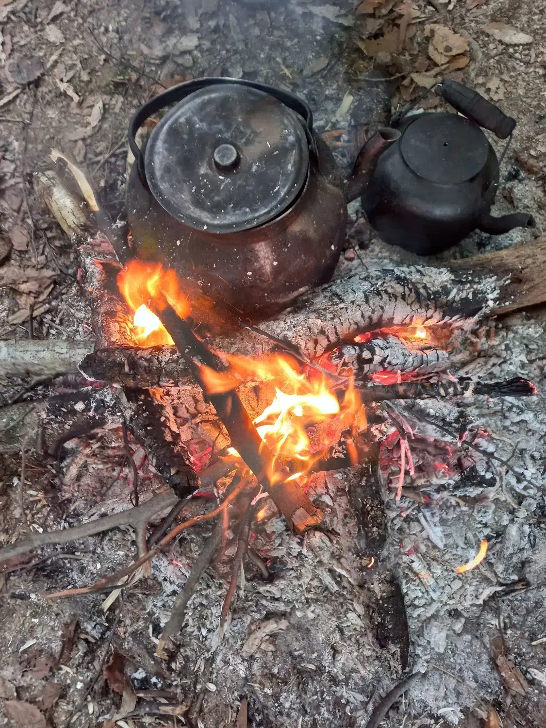 همراه برای رفتن به تور گیلان گردی|تور و چارتر|رشت, منظریه|دیوار