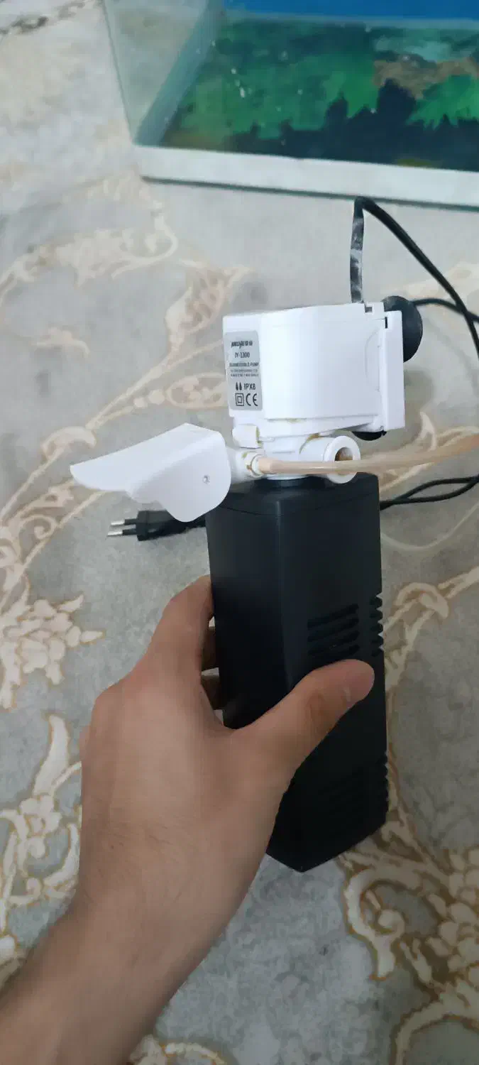 اکواریوم شیشه خم|ماهی|مشهد, امیر المومنین|دیوار