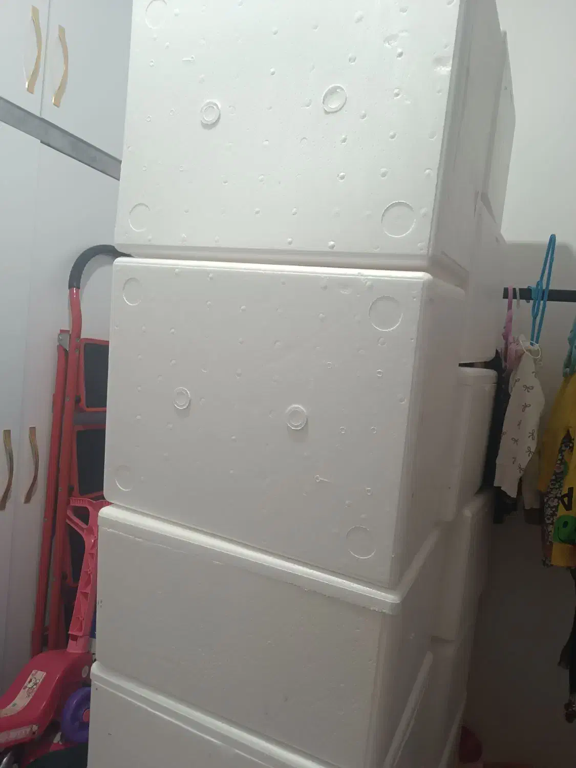 فیبر یخچالی|ظروف نگهدارنده، پلاستیکی، یک‌بارمصرف|پاکدشت, حصار امیر|دیوار