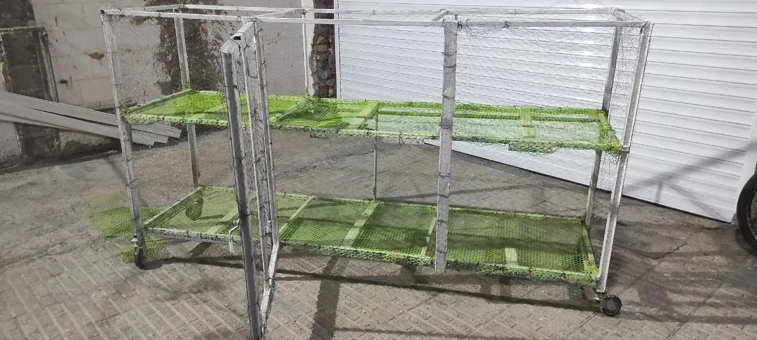 قفس دوطبقه چرخدار|پرنده|ایلام, |دیوار