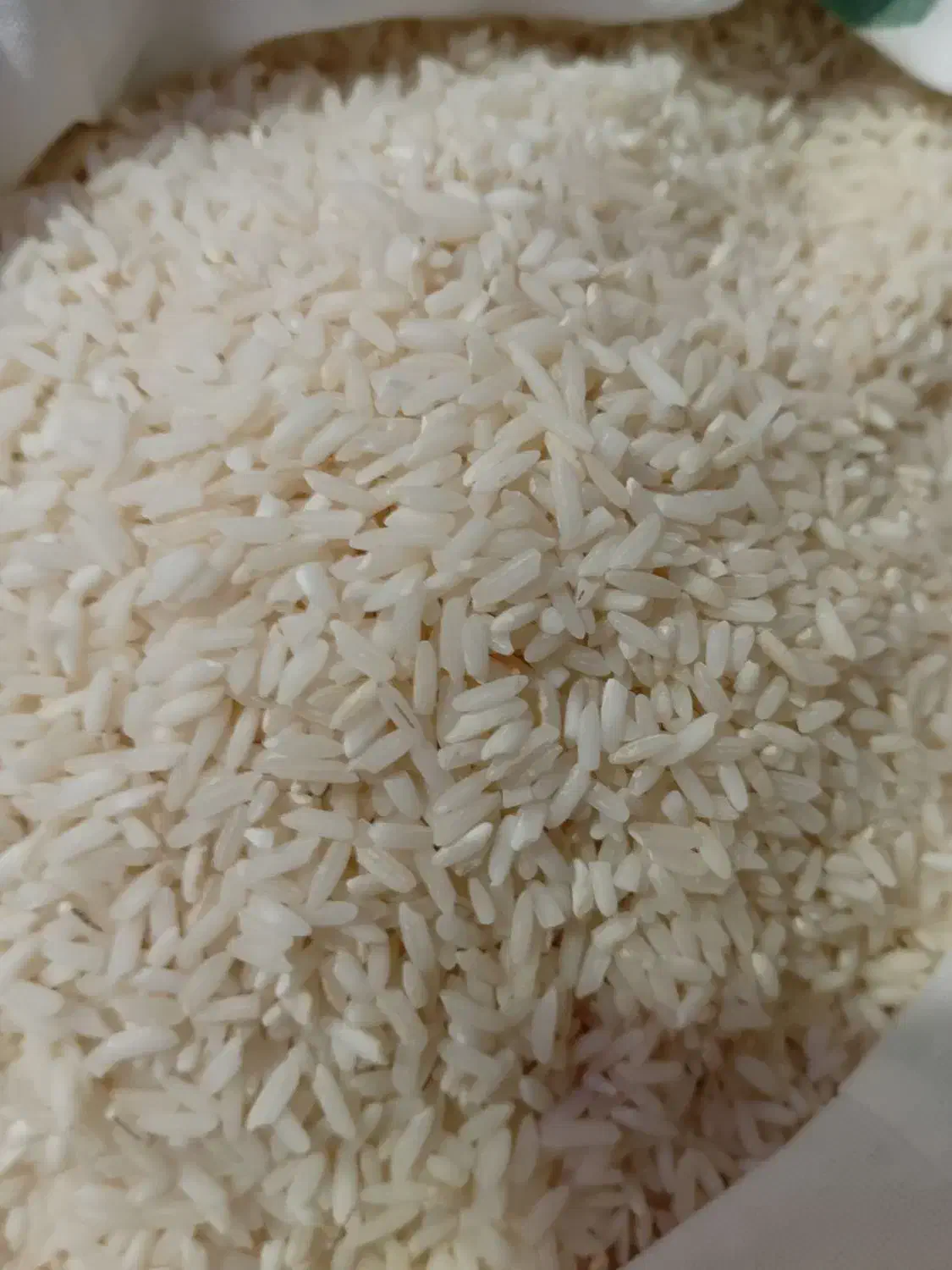 برنج هاشمی اصیل ایرانی|خوردنی و آشامیدنی|میاندوآب, |دیوار