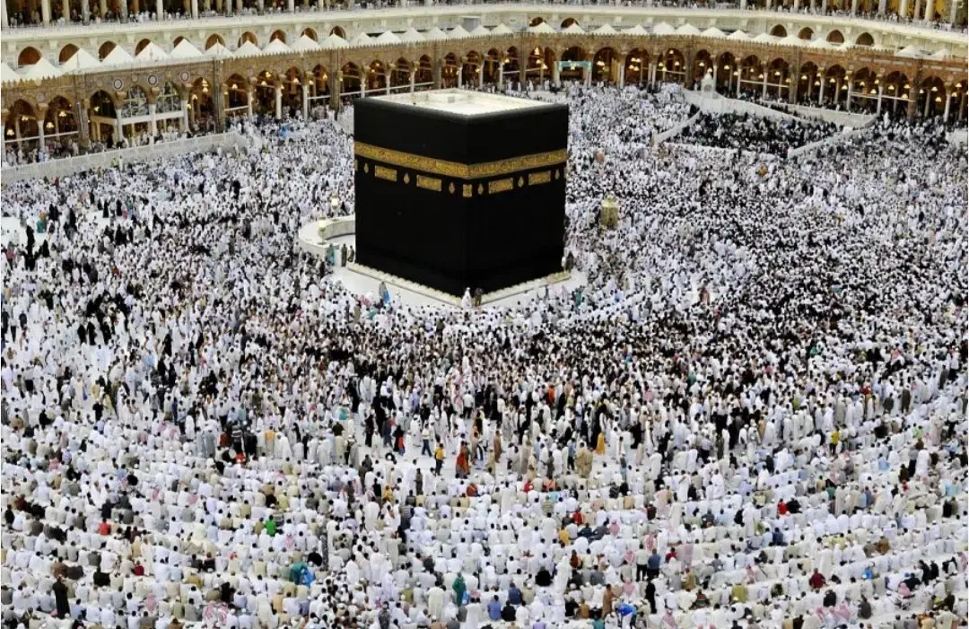 فیش حج|تور و چارتر|رامهرمز, |دیوار