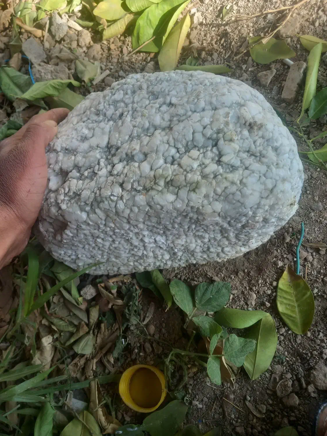 سنگ یخی طبیعی بسیار سنگین|جواهرات|شیراز, انجیر|دیوار