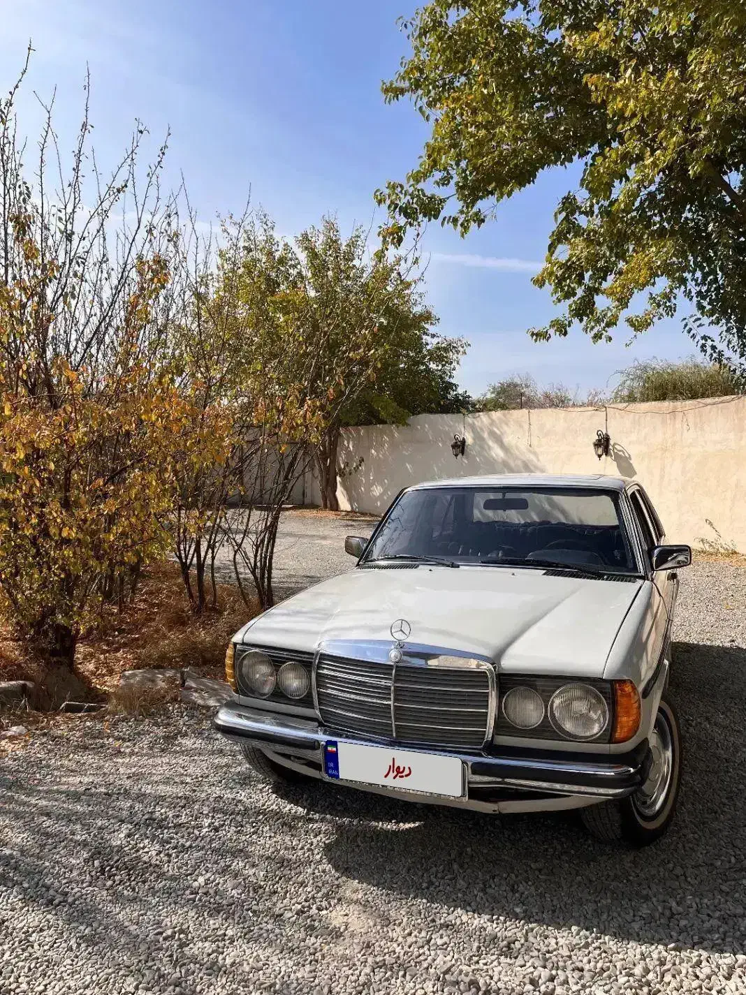 بنز دانشجویی|خودرو کلاسیک|کرج, چمن|دیوار