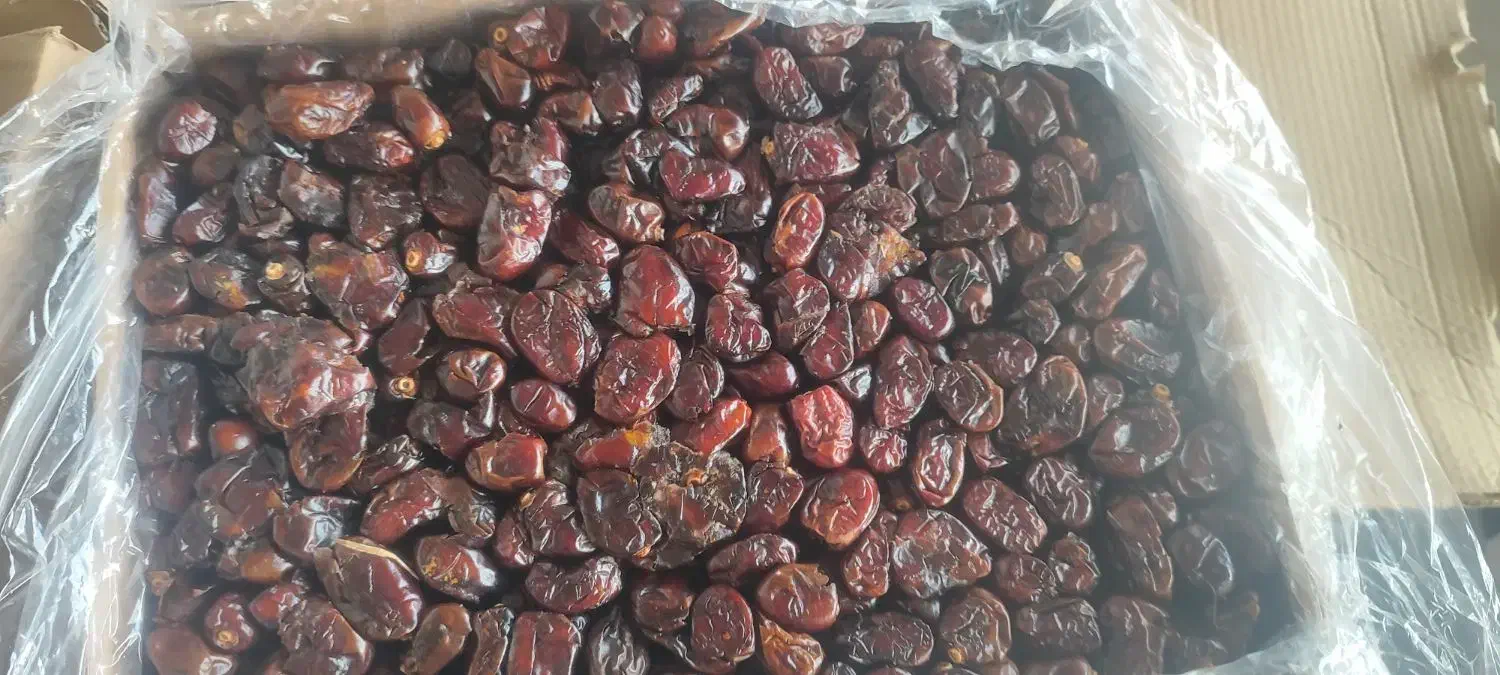 خرماضایعات|عمده‌فروشی|تبریز, |دیوار